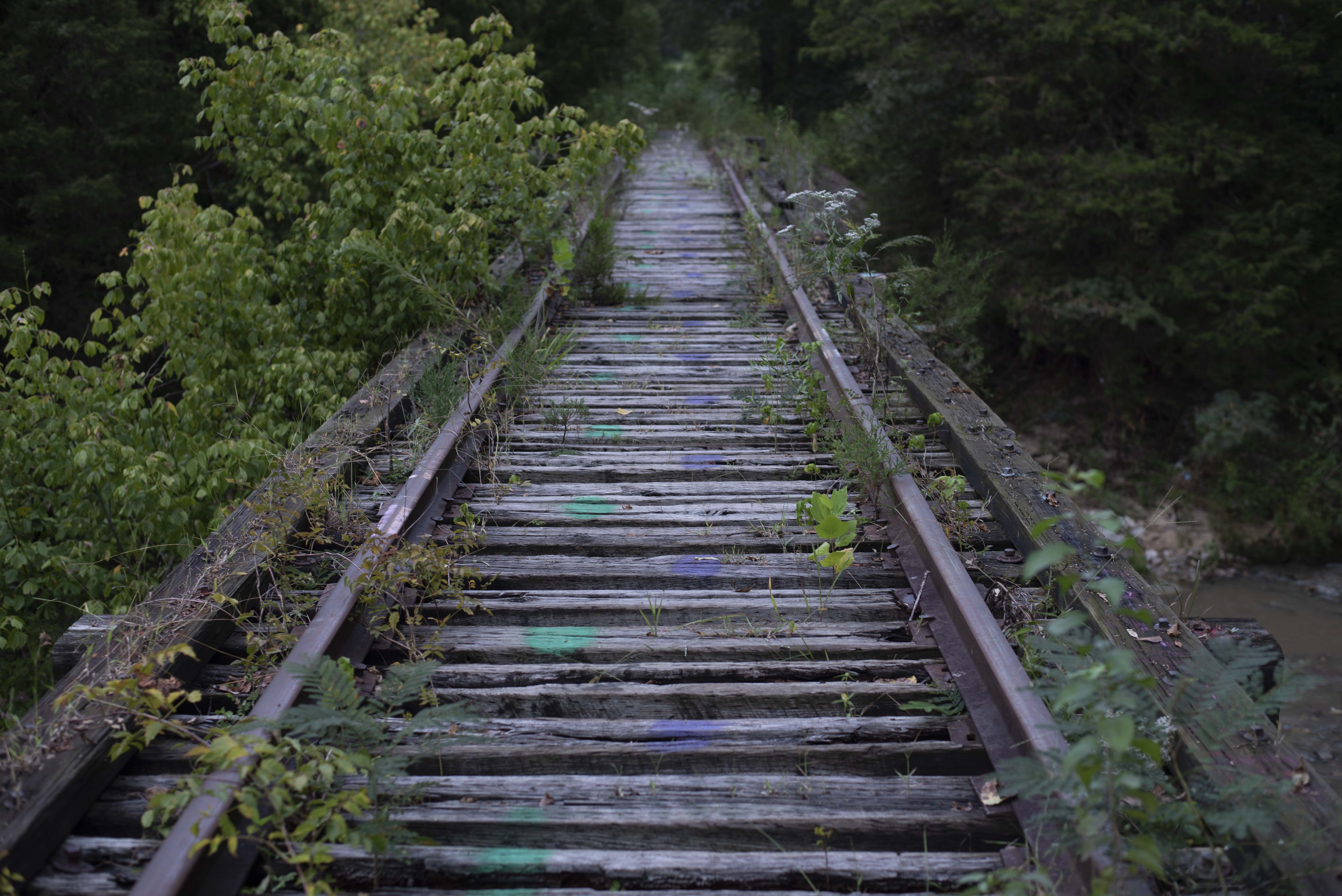 Starkville Tracks